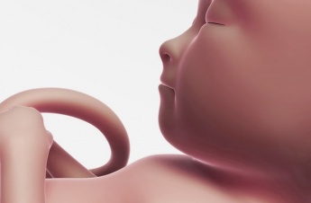 26. Schwangerschaftswoche