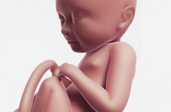 36. Schwangerschaftswoche